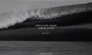 World Surf League