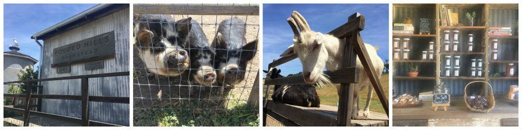 Folded Hills Farmstead - Family Friendly Hikes on the Central Coast DriftingThru